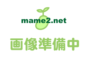 ��d�̍��ؐH�a�n�n�j�@�蓖�@